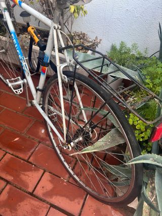 Bicicleta Peugeot Clásica