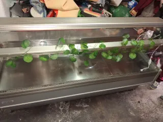 Nevera expositora refrigerada