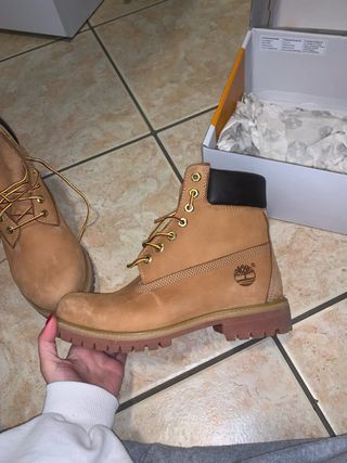 Stivali Timberland Beige/Marrone