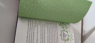 Bruna la bruixa i el secret de l'Encantada