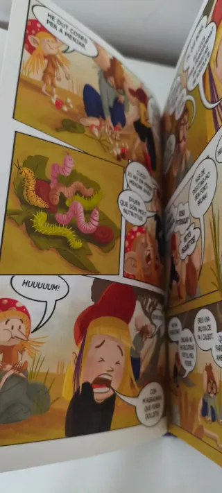 Bruna la bruixa i el secret de l'Encantada