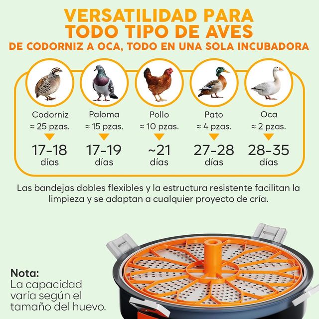 Incubadora Automática Okköbi Huevos