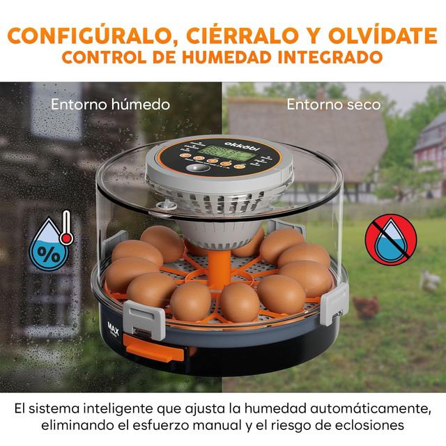 Incubadora Automática Okköbi Huevos