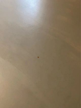 Escritorio Vintage Estilo Versalles