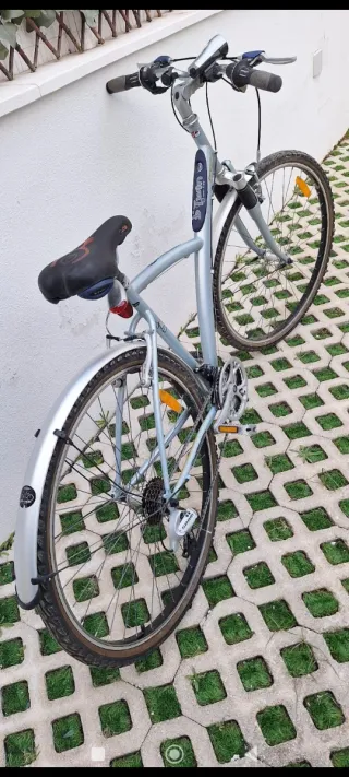 Bicicleta de paseo gris
