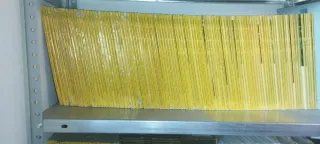 Colección National geographic