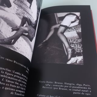 LOS SENOS DE TINTA. Pedro García CABRERA. Libro