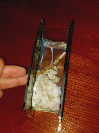 Vela de Gel com motivos marinhos