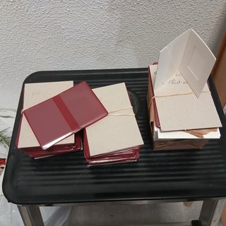 Lote 307 carteritas para fotos carnet