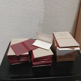 Lote 307 carteritas para fotos carnet