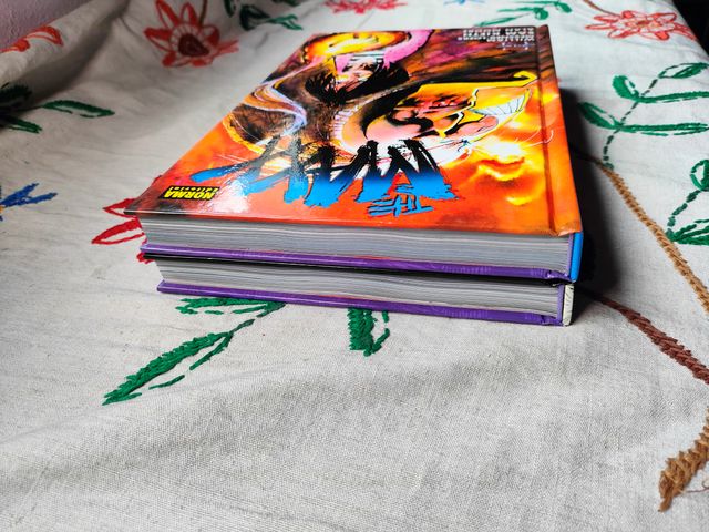 The Maxx. Volúmenes 1 y 2. Norma.