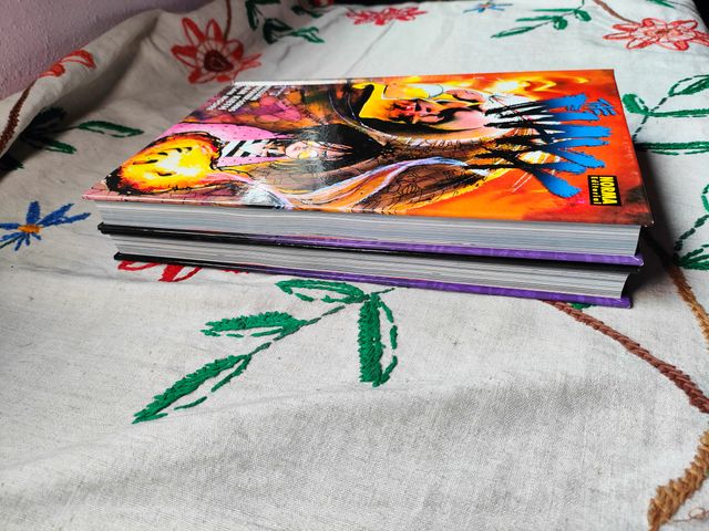 The Maxx. Volúmenes 1 y 2. Norma.