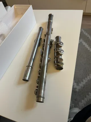 Flauta Travesera  Año 1900  Siglo XXI - XX