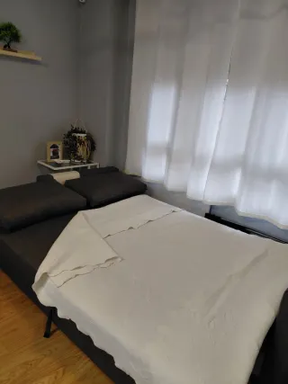 Sofá Cama Gris Tela