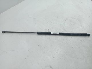 AMORTIGUADORES MALETERO / PORTON FIAT DOBLO (263)