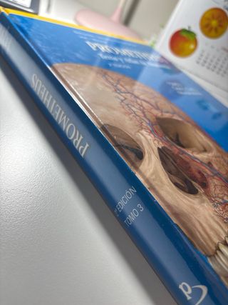 Texto y atlas de anatomia. Prometeus. Tomo 3.