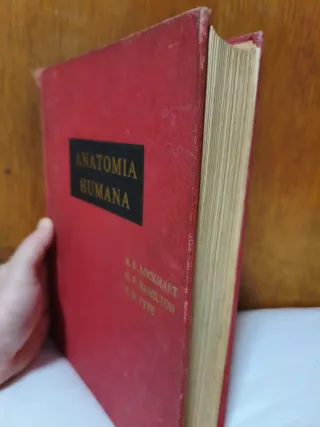 Libro antiguo Anatomia Humana