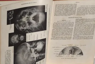 Libro antiguo Anatomia Humana