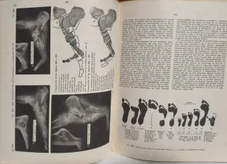 Libro antiguo Anatomia Humana