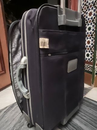 Maleta de viaje Trends gris