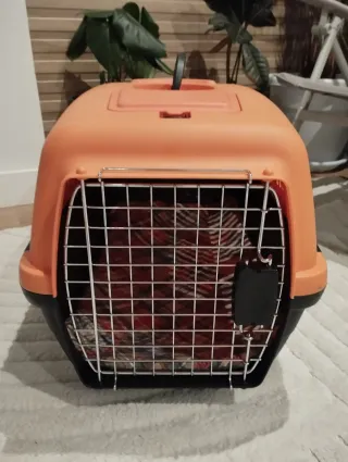 Transportín para mascotas naranja y negro