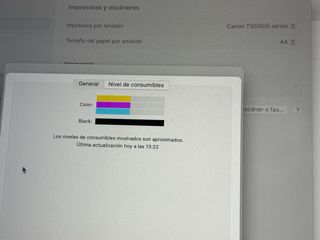 Impresora Canon TS5350i Color + Cartuchos