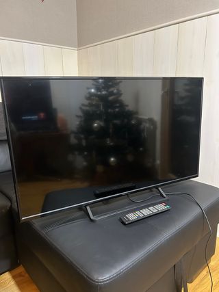 TV TD Systems 40' + Mando