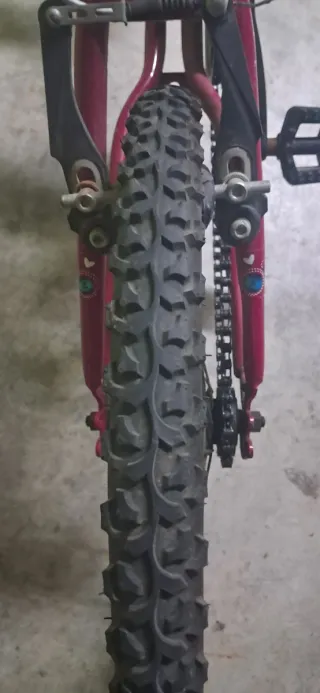 Bicicleta infantil morada