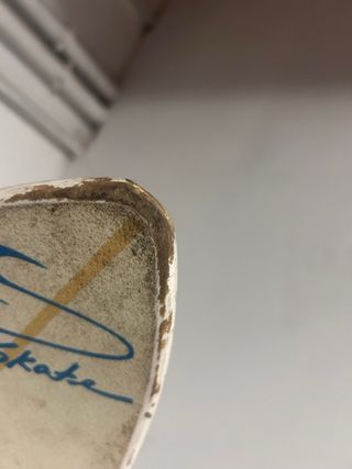 Surfskate marca swelltech premier series