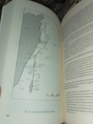 Historia del Antiguo Egipto (Historia Antigua /...