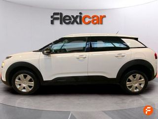 Citroën C4 Cactus BlueHDi 100 S&S Business