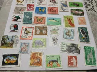 Sellos animales y flores