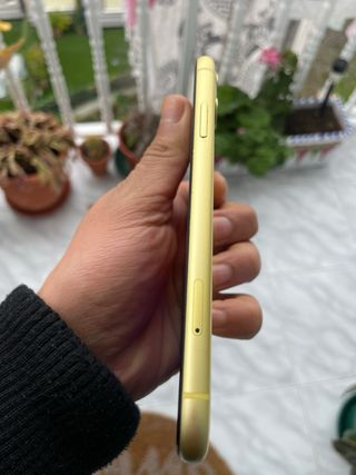 iPhone 11 Giallo