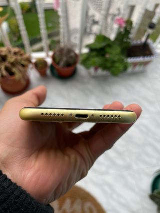 iPhone 11 Giallo