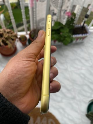 iPhone 11 Giallo