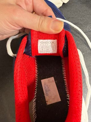 Zapatillas Geox niño azul y rojo