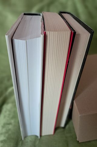 LOTE DE TRES NOVELAS SOBRE EL PINTOR "EL BOSCO"