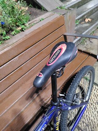 Bicicleta BH Top Line Alu 150