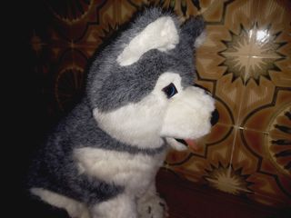 Vintage Cão de peluche Anos 80