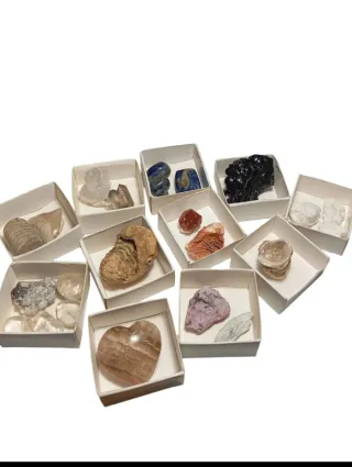 Minerales y Fósiles lote combinado