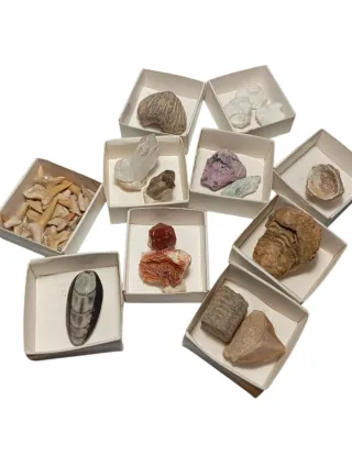 Minerales y Fósiles lote combinado