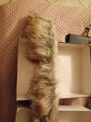 Cappotto Refriguer donna marrone