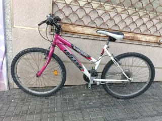 Bicicleta Rueda 24 Wheelworks