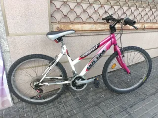 Bicicleta Rueda 24 Wheelworks