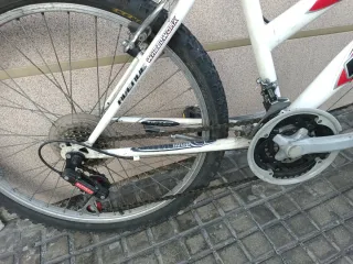 Bicicleta Rueda 24 Wheelworks