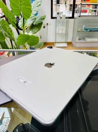 iPad Pro A2379 12.9' Plata WIFI+CELL 256 GARANTIA