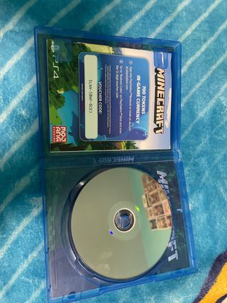 Minecraft PS4 VR Compatible