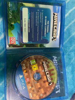 Minecraft PS4 VR Compatible