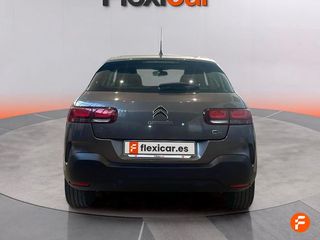 Citroën C4 Cactus PureTech 110 S&S Feel