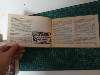 Folleto publicitario del Partido LKI